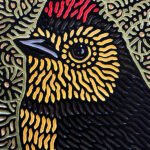 Collared Redstart
