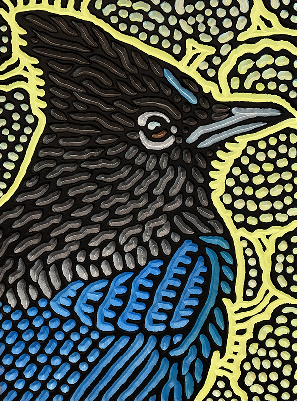 Steller's Jay for Liz