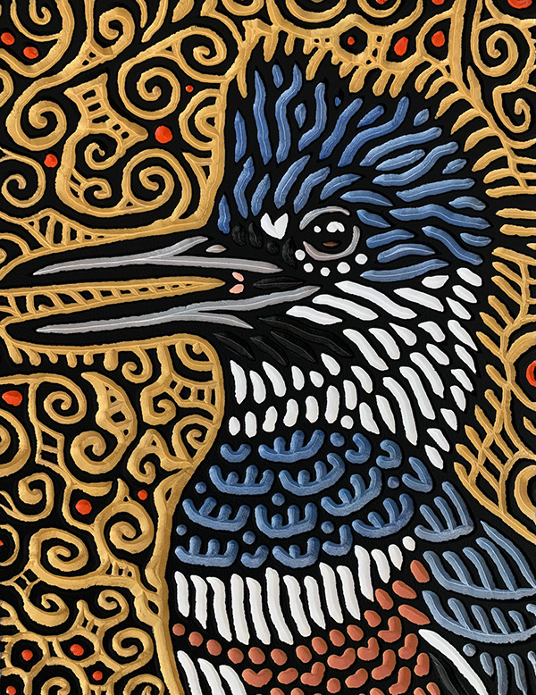 Belted Kingfisher