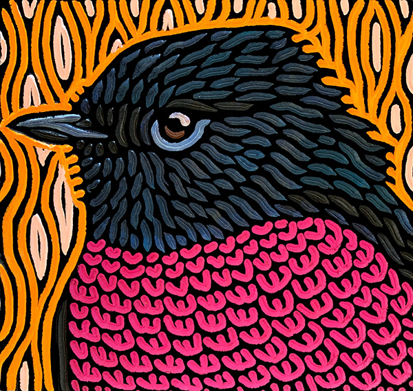 Pink Robin