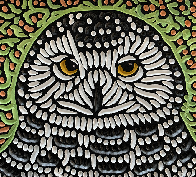 Snowy Owl with a green background