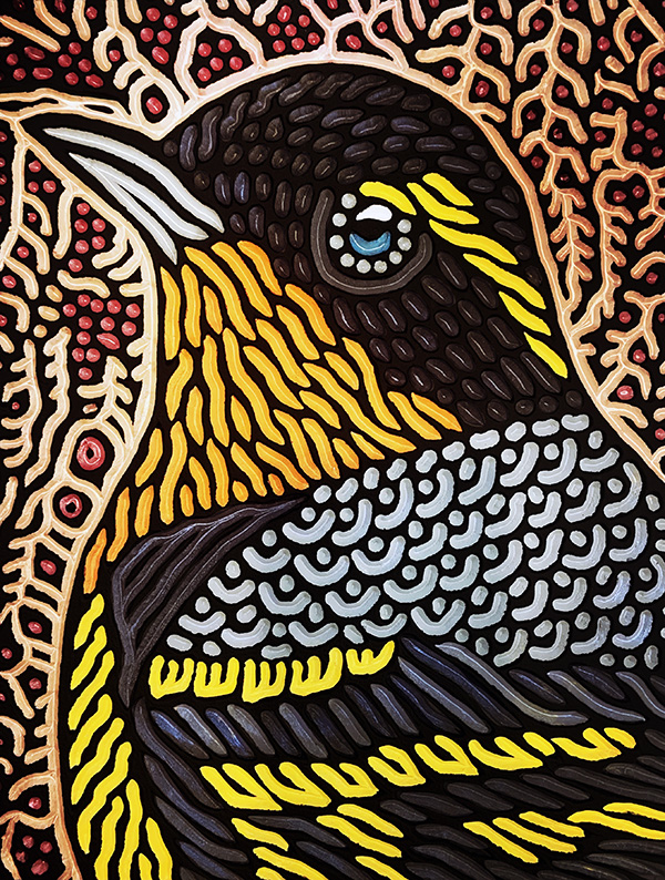 Varied Thrush