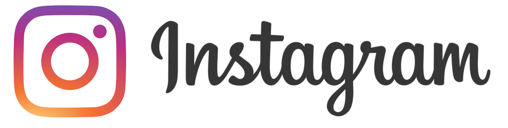 Lisa Brawn Instagram Logo