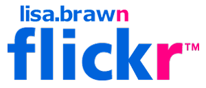 Flickr LOGO - Archive Lisa Brawn